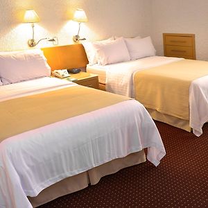 Standard Double Room Two Double Beds